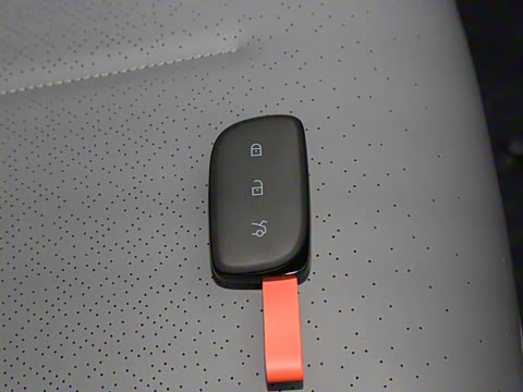 2025�� 530km ����Pro