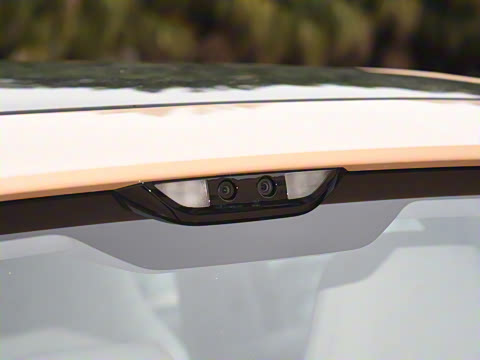 2025�� Max �����