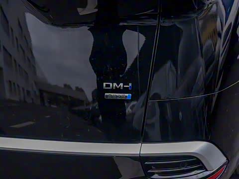 2025�� DM-i �Ǽݰ� 1100 ������