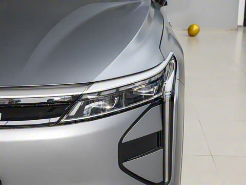 2025�� 100������Plus����