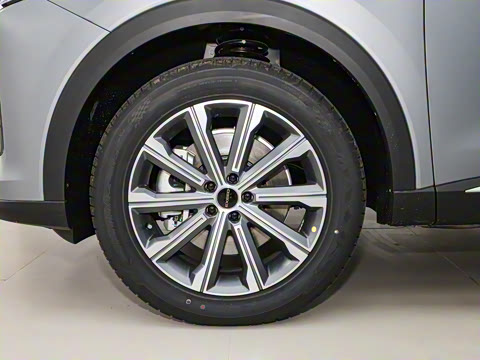 2025�� 100������Plus����