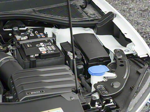 2025�� 300TSI DSG���������