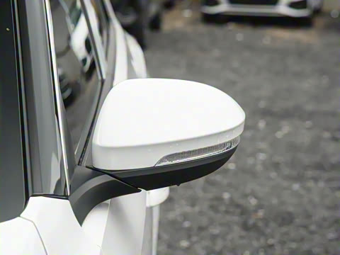 2025�� 300TSI DSG���������