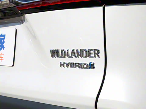 2024�� ˫�� 2.5L E-CVT��������