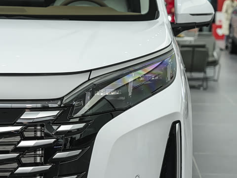 2025�� DM-i 1.5T 100km ��Խ��