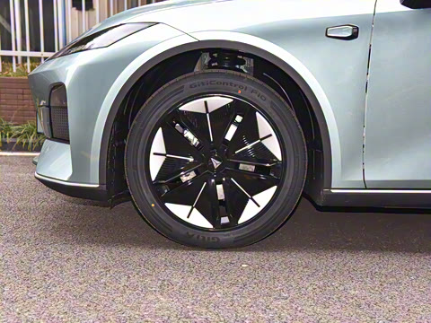 2025�� ���羫Ӣ��