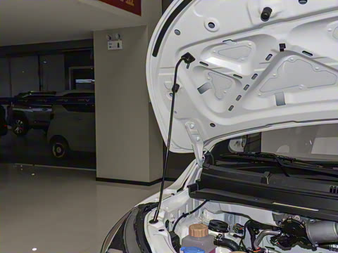 2025�� Mate 410km̤�˰�