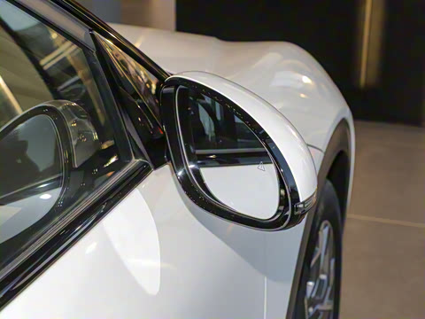 2024�� ���������������