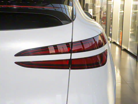 2024�� ���������������