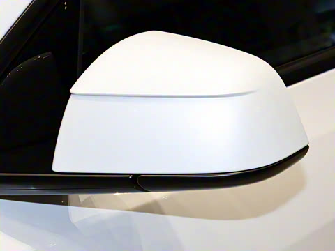 2025�� �������� �׷���