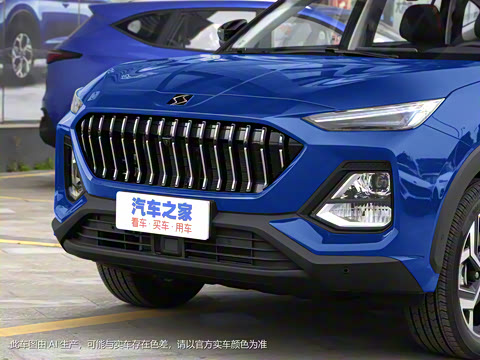 2021�� 300T DCT�콢������ 5��