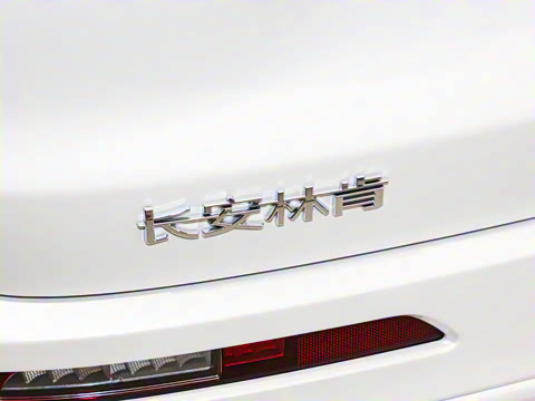 2024�� 1.5T ���������춯��