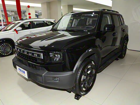 2025�� 2.0TD XWD����