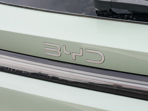 2025�� �Ǽݰ� 605���˰�