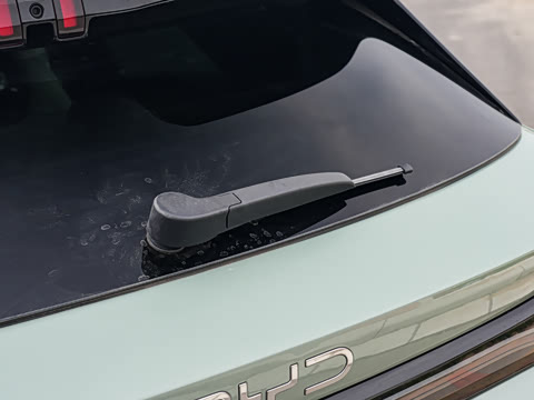 2025�� �Ǽݰ� 605���˰�