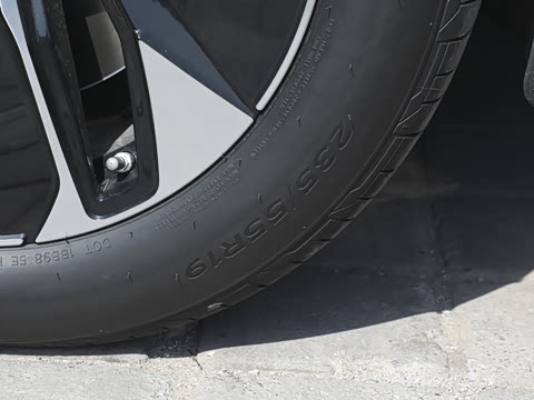 2025�� ������PURE+��