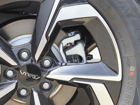 2025�� 205��������������