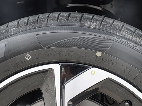 2025�� 205��������������