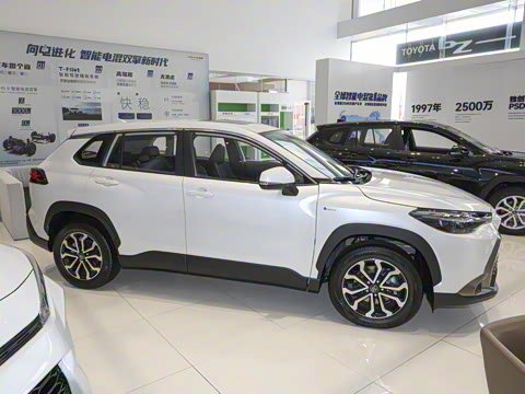 2024�� 2.0L ���ܵ��˫�� ������