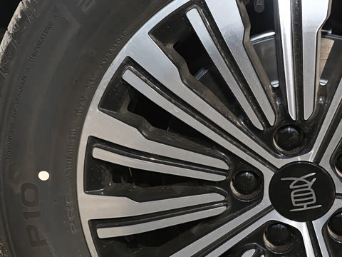 2025�� DM-i 1.5T 100km ������