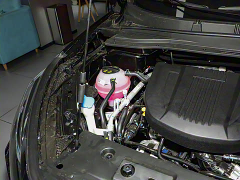 2025�� ��Խ�� 1.6TD DCT���ͥ���ְ� 7��