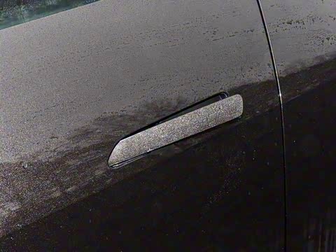 2024�� Max���������