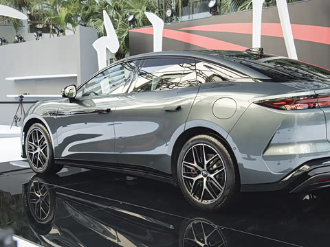 2025�� DM-p ���������״��콢��