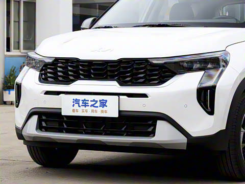 2024�� 1.5L ����������