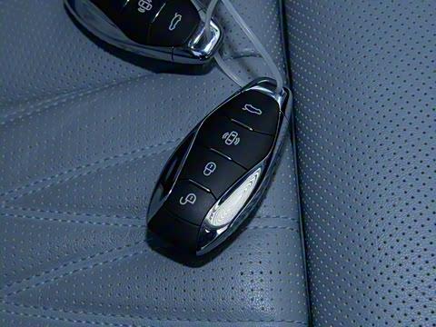 2024�� 2.0T PHEV ��������� 7��