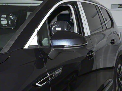 2025�� 380TSI ���������Ѿ�Pro  ������ 6��