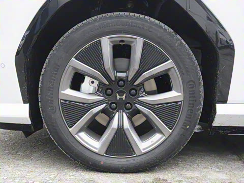 2025�� ����������Max