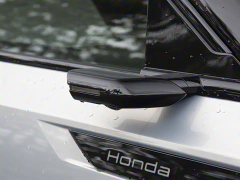 2025�� ����������Max