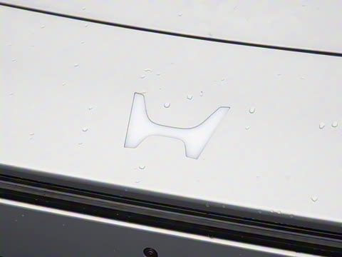 2025�� ����������Max