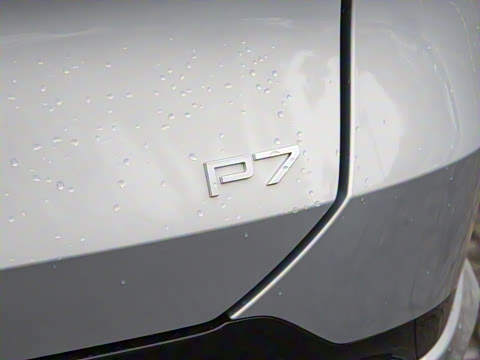 2025�� ����������Max