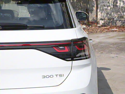 2024�� 300TSI DSG���������