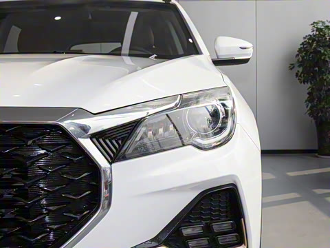 2025�� 1.5T �ֶ���Խ�� 7��