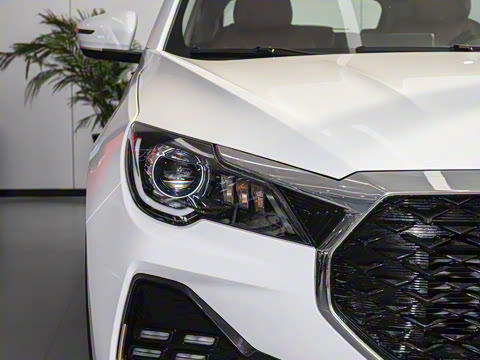 2025�� 1.5T �ֶ���Խ�� 7��