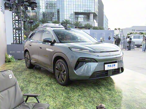 2025�� DM 175KM���˻���Ұ�