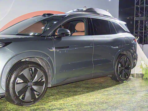 2025�� DM 175KM���˻���Ұ�