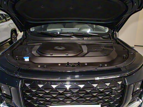 2024�� 1.5TD 2DHT Max 5��