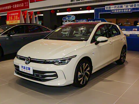 2025�� 300TSI Pro