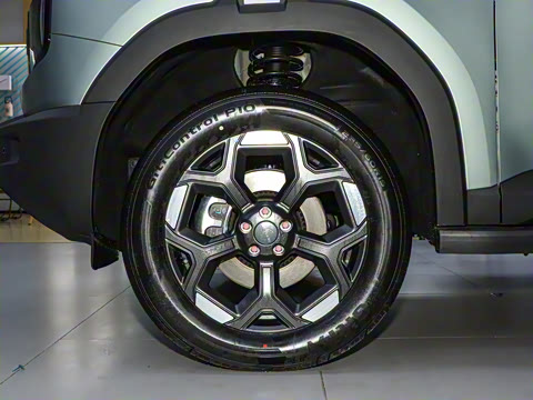 2025�� 2.0TD XWD����