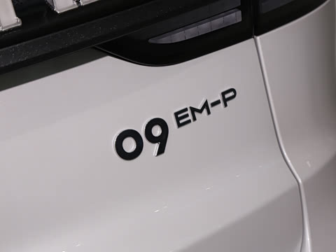 2025�� 2.0TD EM-P ����Max ����