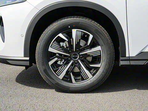 2025�� DM-i �Ǽݰ� 75KM������