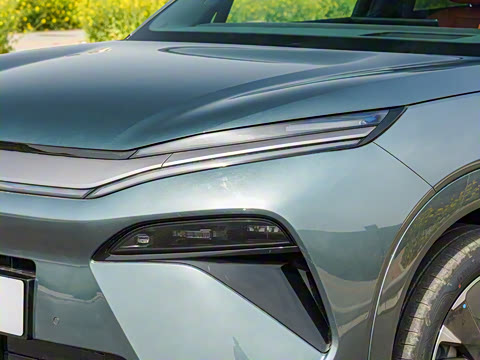 2025�� DM 175KM���˻���Ұ�