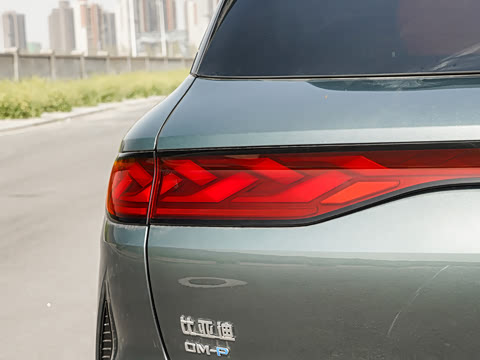 2025�� DM 175KM���˻���Ұ�