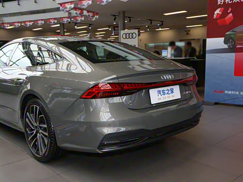 2025�� 45 TFSI ��ѡ��