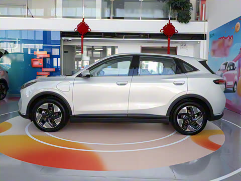 2025�� 565km ������