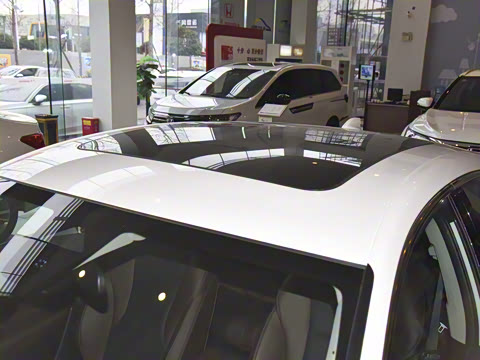 2025�� 260TURBO ���ݰ�