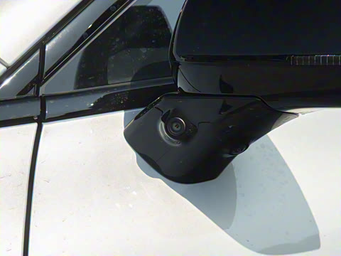 2025�� 520�����״��